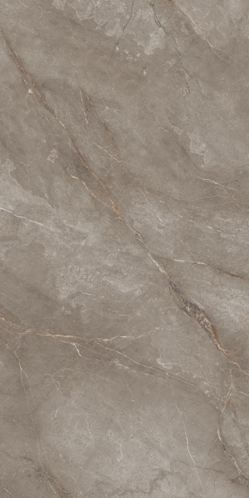  N20495 Marble Orobico Brown Polished
