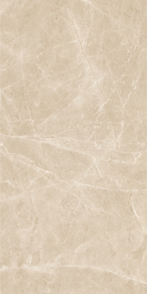  N20459 Marble Frappuchino Crema Polished