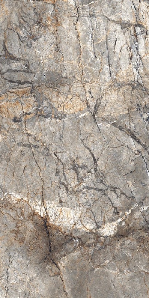  N20529 Marble Golden River Polished