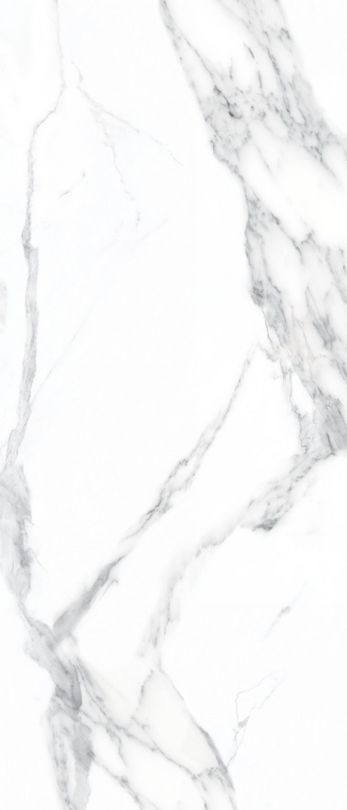  N20383 Titanium Calacatta Classico Polished