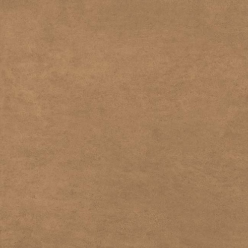 Bronze GP2020DNA31
