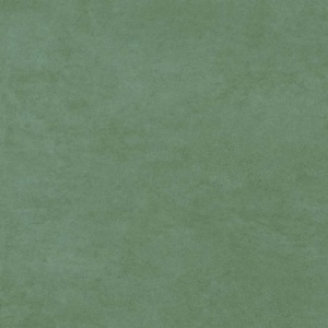  Green GP2020DNA24