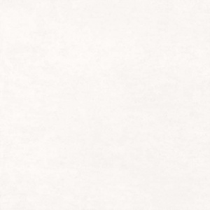  Light Grey GP2020DNA05