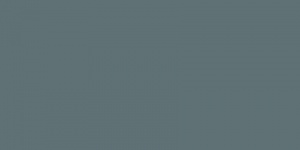  Edelweiss Blue WT36EDW13