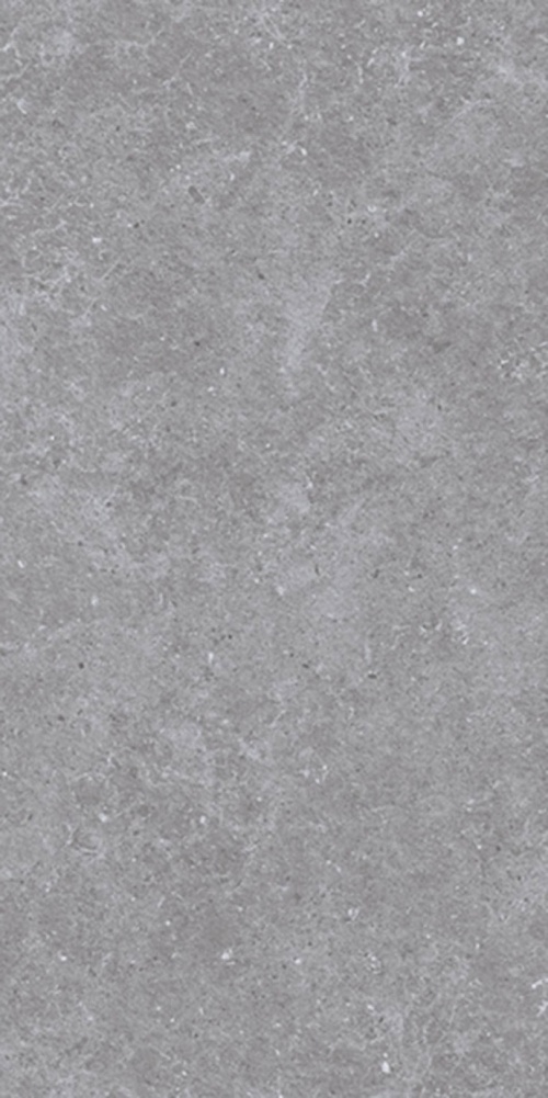 SE9550M35 Lasko Gray Dark лаппатированный