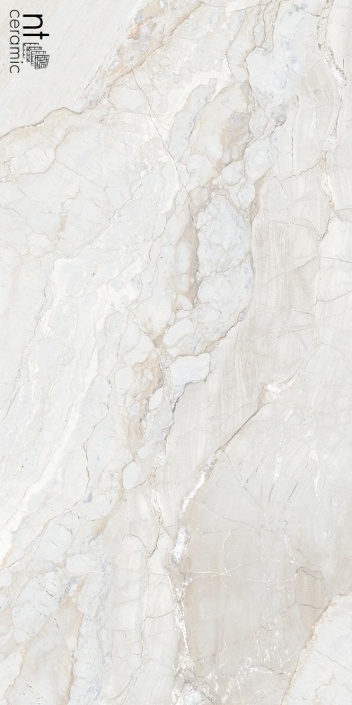  NTT99508P Gravel White