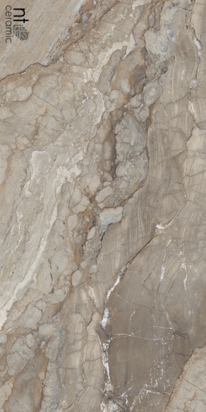  NTT99509P Gravel Natural