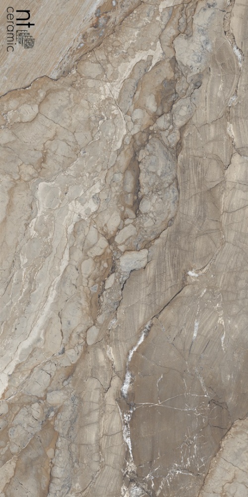 NTT99509P Gravel Natural