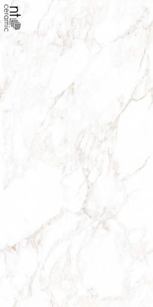  NTT99526M Marble Extra Endless mat