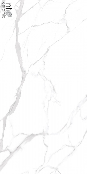  NTT99512M Statuario Ultra White