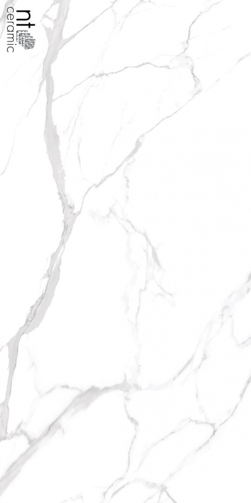  NTT99512M Statuario Ultra White