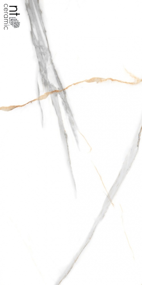  NTT99513M Maritaca Statuario Ultra White