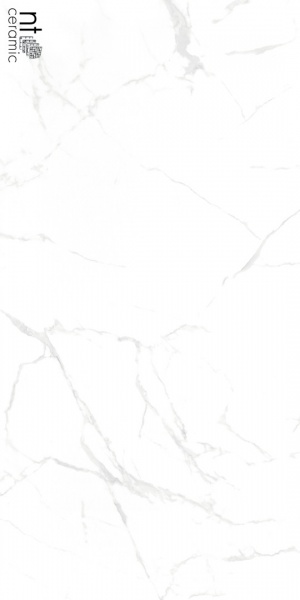  NTT99607M Callacata Carving