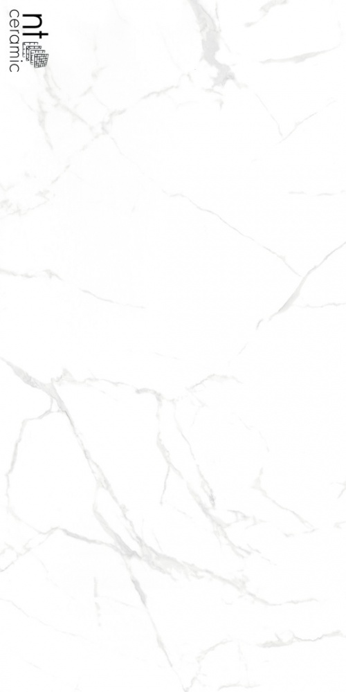  NTT99607M Callacata Carving