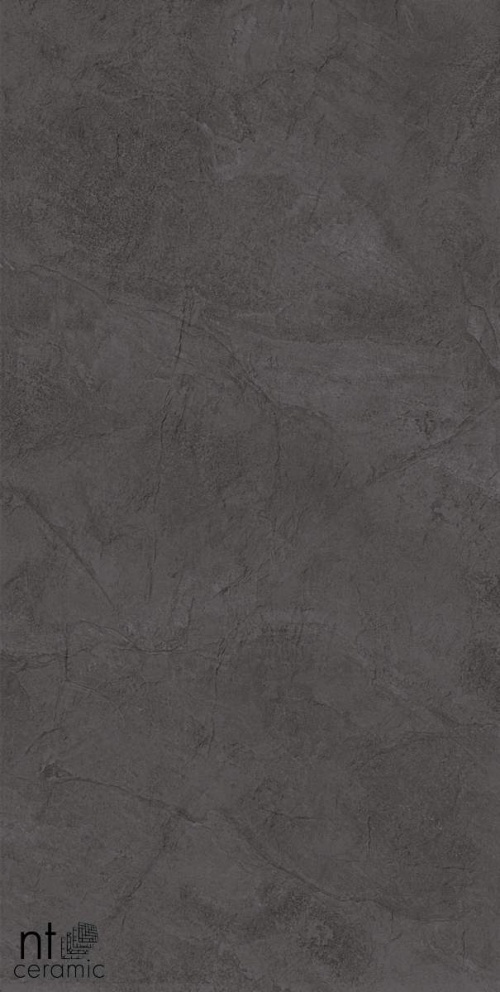  NTT99615L Obelisk Gris Lap