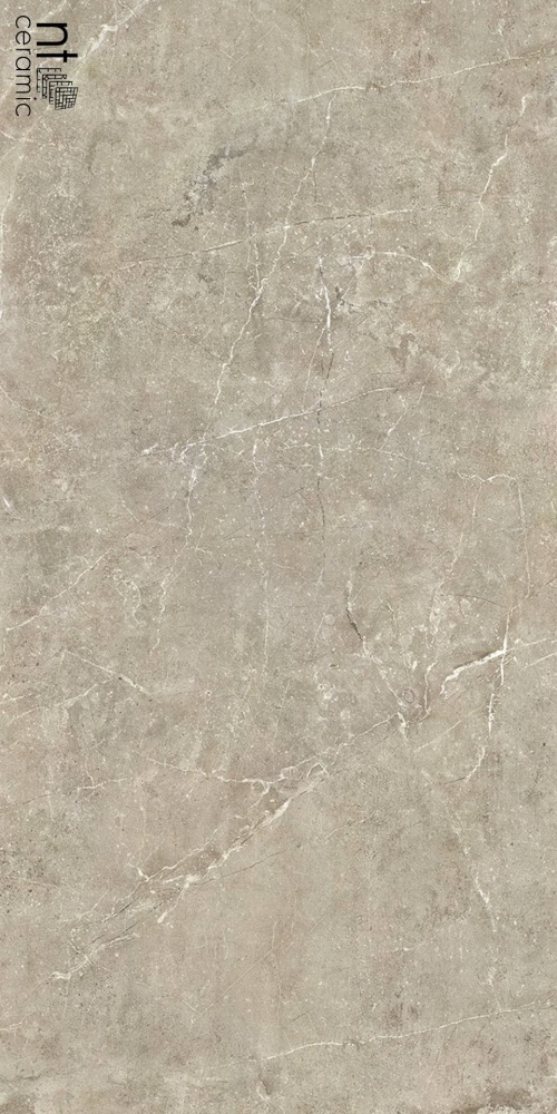 Quanta Grey NS612NTT9021L