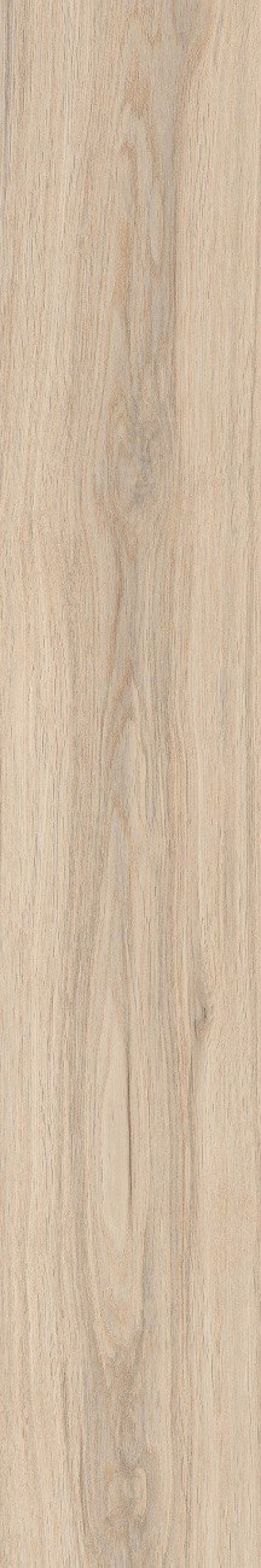  OC0000199 Eternity Beige