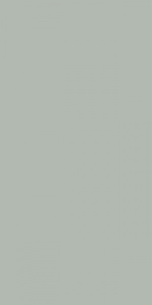  OC0000208 Exotic Olive Matt