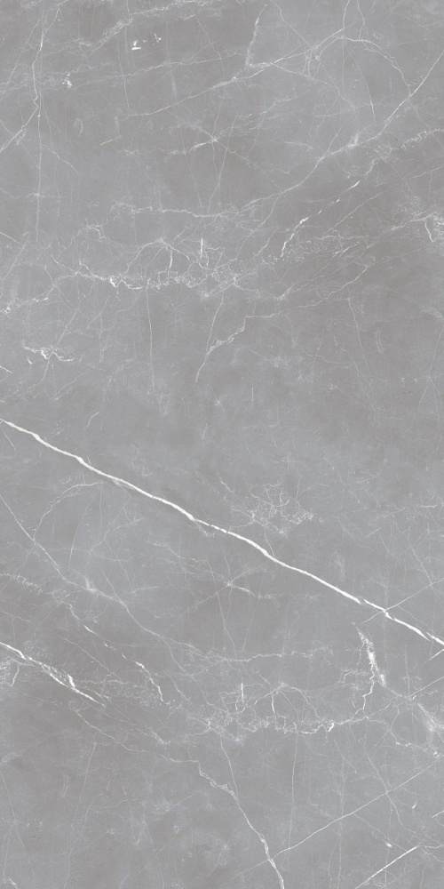  IRN000050 Arion Gray Dark