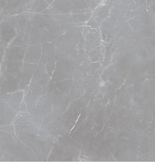  IRN000041 Arion Gray Dark