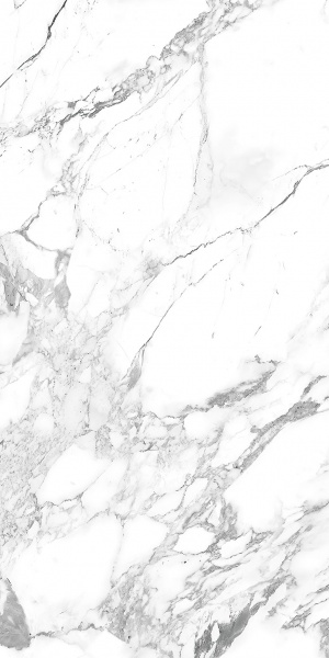  Arabescato Silver Polished