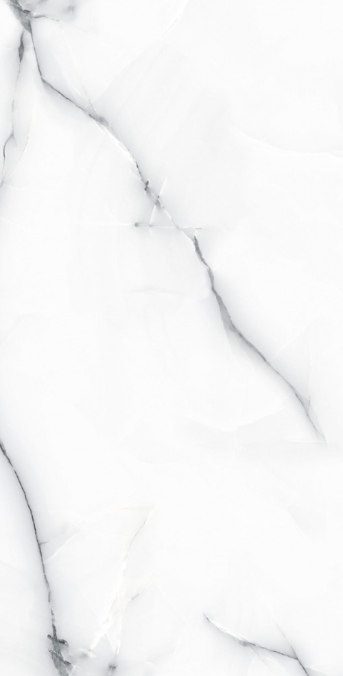  Aster Light Grey Polished