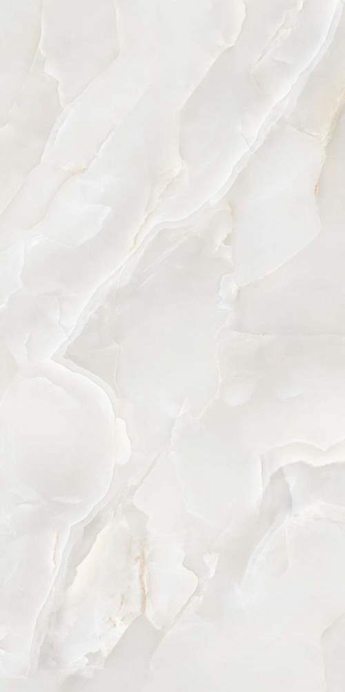  Betula Natural Polished