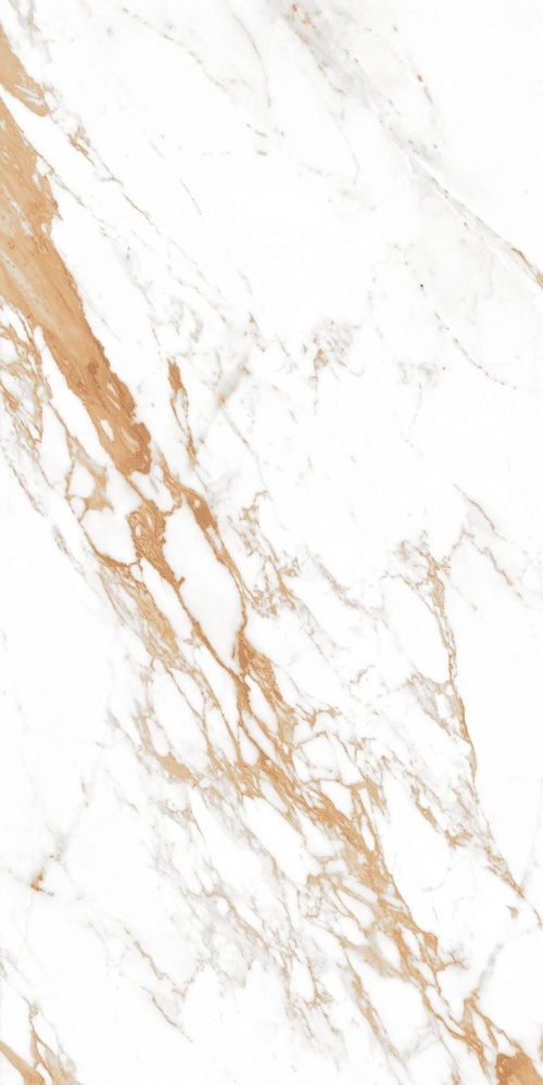  Capricorn Gold Polished