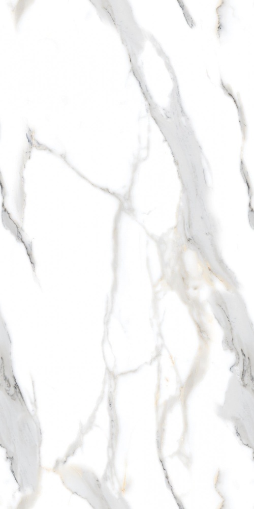  Statuario Oro Polished