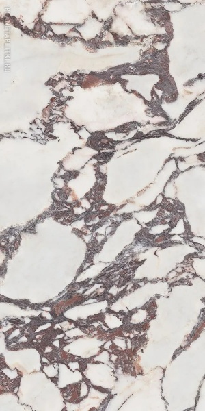  Hd Calacatta Viola Polished