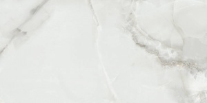  Fenix Gris