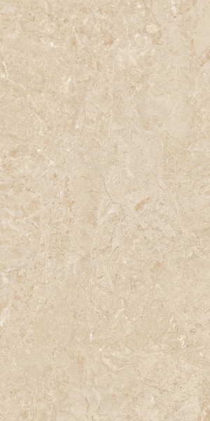  Odyssey White Pulido