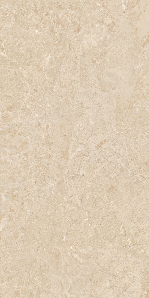 Odyssey White Pulido