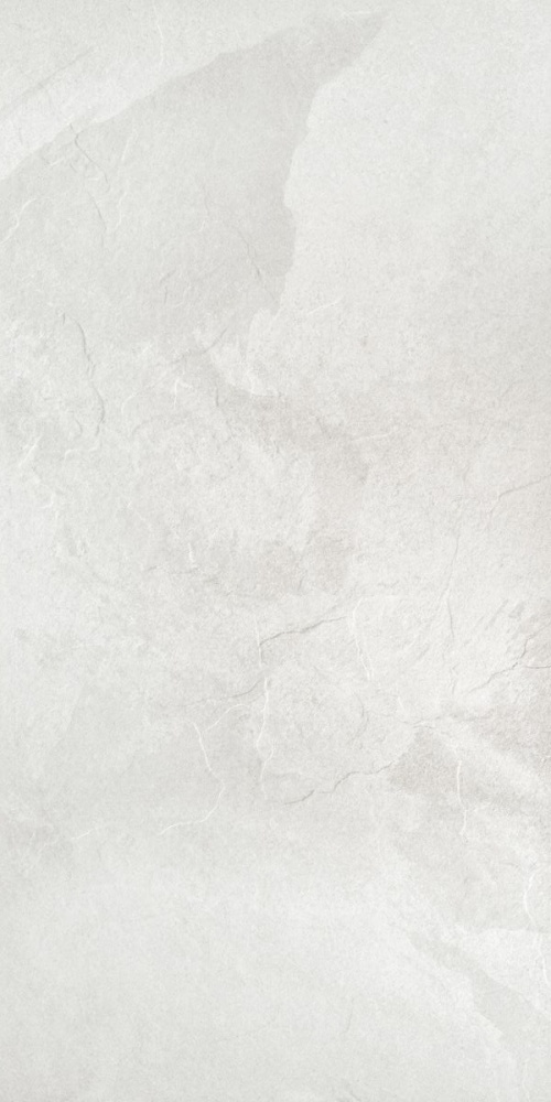  Rhin Blanco