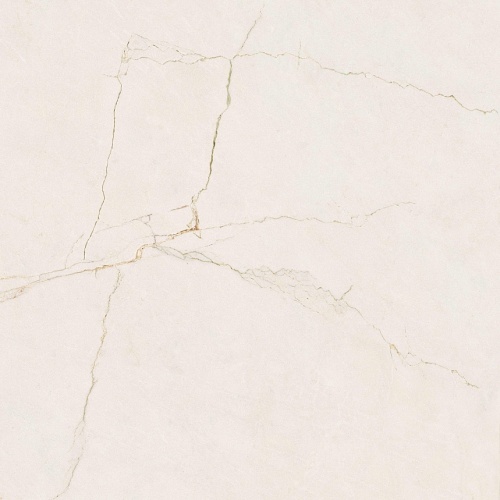  Pol Velhira White