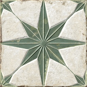  FS Starlight Sage LT