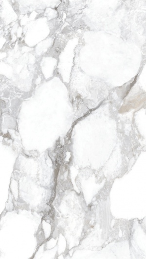  3392631006 Haute White SP