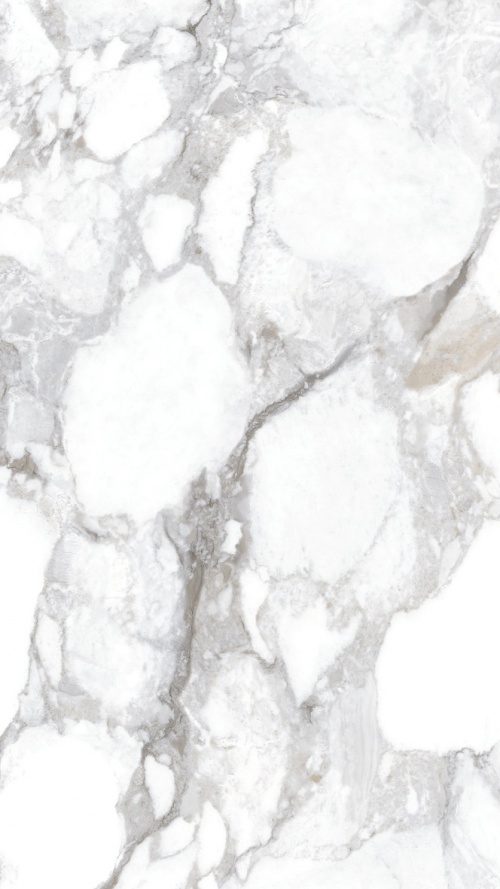  3392631006 Haute White SP
