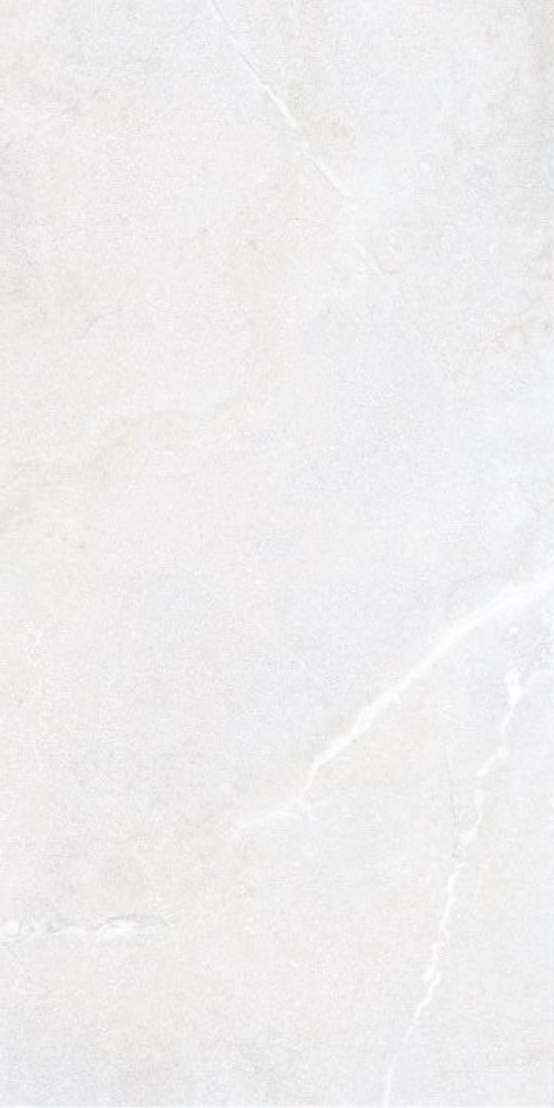  Lucca White AS/R