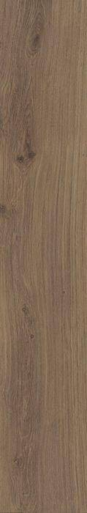  3391537779 Oud Porto As