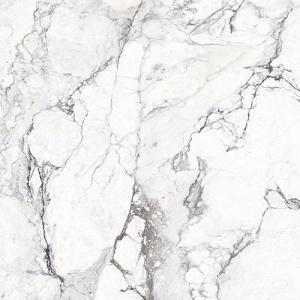  3389836142 Sublime Iceberg Sp