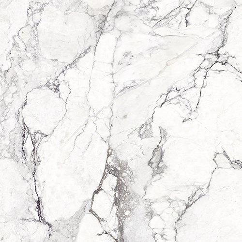  3389836142 Sublime Iceberg Sp