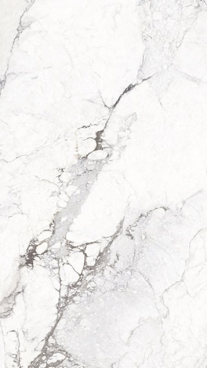  3392636141 Sublime Iceberg Sp