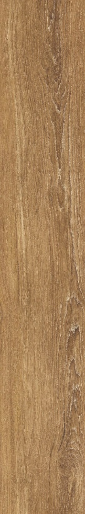  3300038597 Verbier Cherry AS