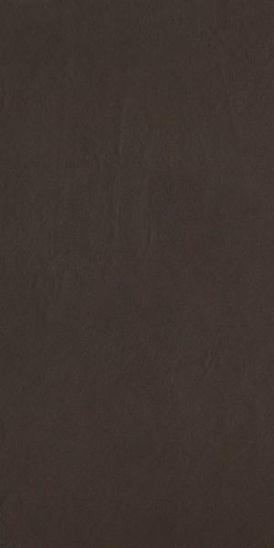 X630367X6 Color Studio Brown