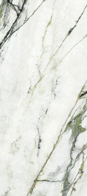  Xlight Calacatta Green Polished