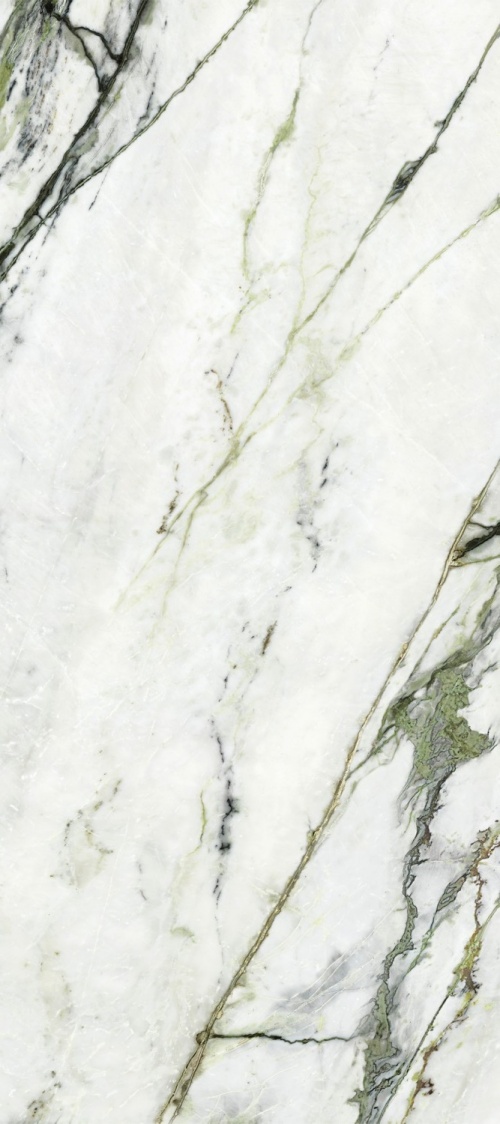  Xlight Calacatta Green Polished