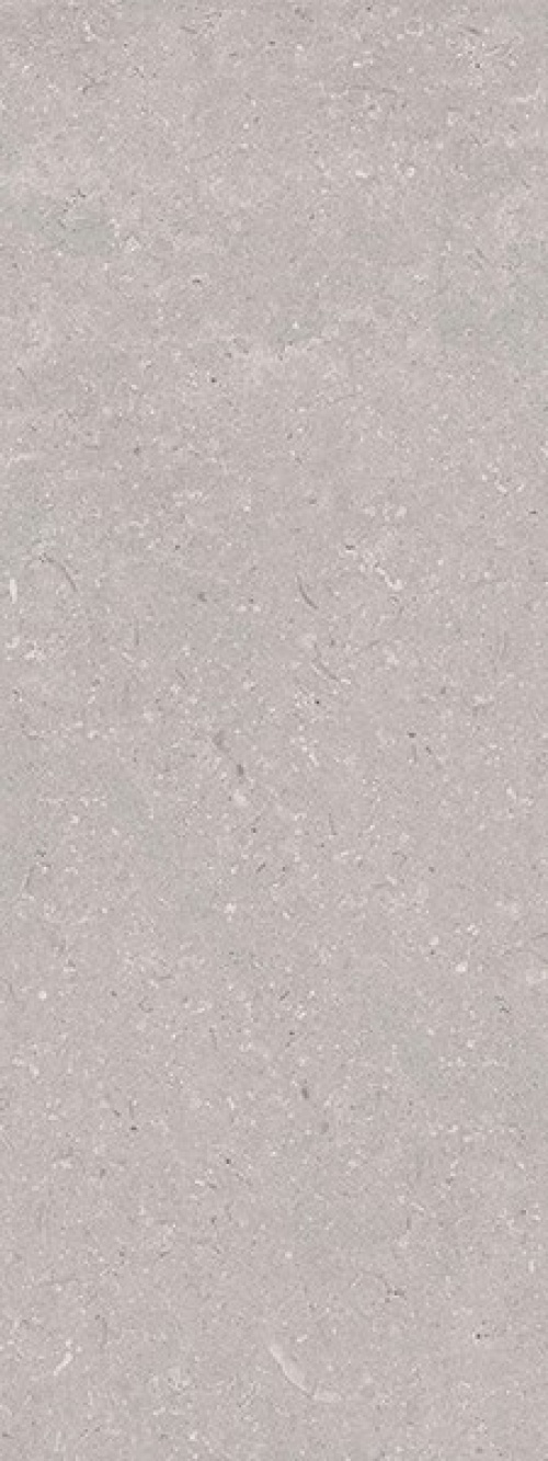  Coral Acero