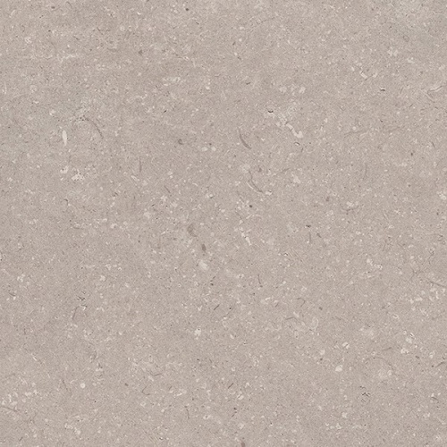  Coral Topo L