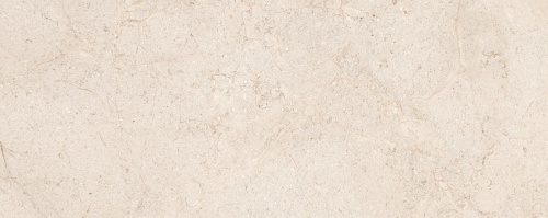  Dorcia Bone
